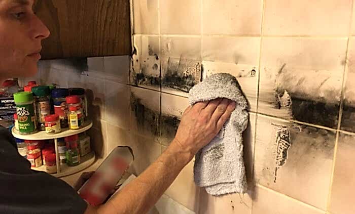 Almatı Yangın Sonrası Temizliği